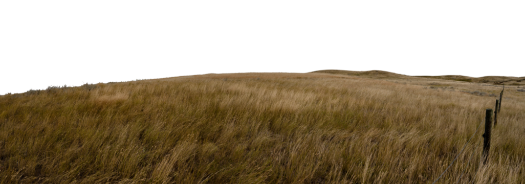 Dry prairie ranch grass blowing in the wind and a barbed wire fence with distant hills and a transparent sky. Panorama
