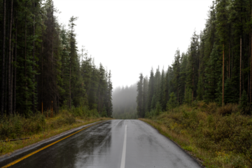 Looking down a rain soaked road surrounded with evergreen trees and a transparent sky
