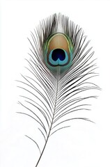 Obraz premium Elegant Peacock Feather Displaying Vibrant Colors Against a Clean White Background 