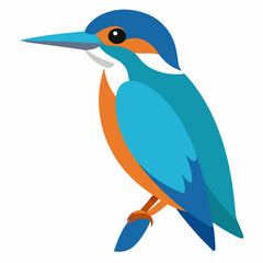 kingfisher bird on white background
