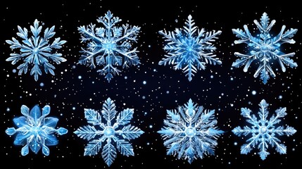 A stunning collection of intricate snowflake designs against a dark, starry background