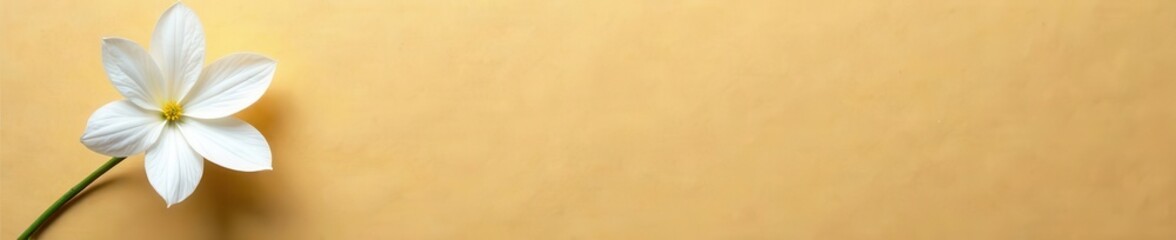 Obraz premium Single white flower on kraft paper, rustic style , wedding, natural light