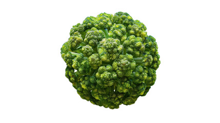 Romanesco broccoli forming a perfect sphere isolated on transparent background