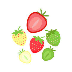 Strawberry vector. Sweet red, white, green variation fruit cut in half for a refreshing summer juice