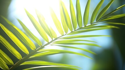 Naklejka premium A detailed close-up of a vibrant green leaf illuminated by sunlight, showcasing intricate textures and the beauty of nature.