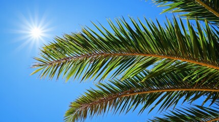 Fototapeta premium Arafed palm tree leaves display vibrant green hues against a clear blue sky illuminated by bright sunlight.