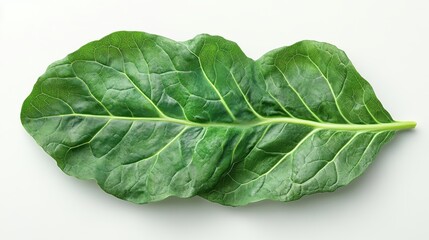 collard greens isolated on transparent background