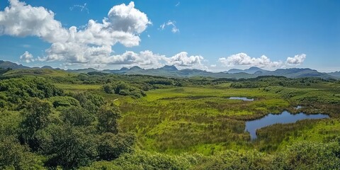 A panoramic view from a high vantage point, showcasing the beauty of the moors.