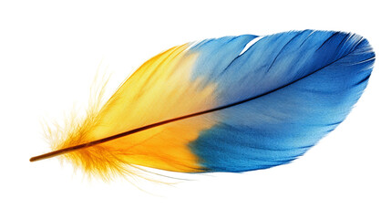 Blue and yellow feather png: a high-quality image of a colorful bird feather isolated on a transparent background.