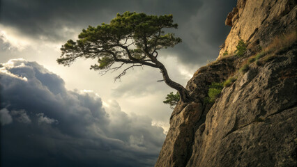 solitary tree clings to rocky cliff under dramatic sky