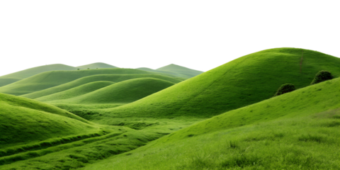 green hills landscape isolated on a white background.png