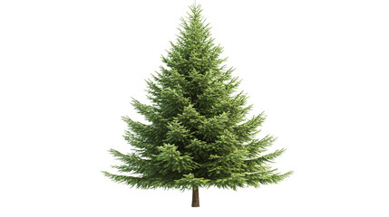 Fir tree with green leaves and brown trunk isolated on transparent background - christmas tree isolated on transparent background.