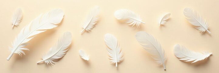 Fototapeta premium Delicate white feathers scattered on beige backdrop , element, still life, elegant