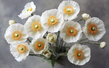 Obraz premium Stunning Bouquet of Creamy White Poppies Close Up