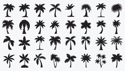 coconut tree silhouette set vector collection