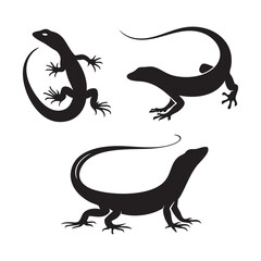 Fototapeta premium Silhouette set of Lizard on white background