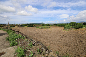 밭과 하늘이 어우러진 논밭 풍경 제주도 제주시 한림읍 귀덕리 영등할망 밭담길