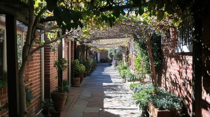 Fototapeta premium A tree-lined walkway in a backyard, creating a cozy and shaded space.