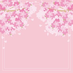 バナー　春　さくら　桜　サクラ　お花見　フレーム　背景　デザイン　テンプレート　イラスト