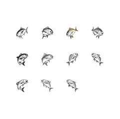 A group of Dorado fish icon