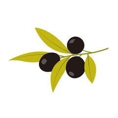 History Elements 2 Black Olives on Branch
