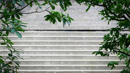 green tree in the garden with staircase, exterior design