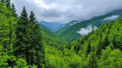 Fototapeta premium Lush Green Mountains Under Cloudy Sky in Scenic Nature Landscape