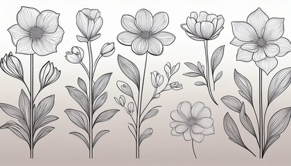 single line art vector flower illustration, outline set of blooming flowers. Generated image