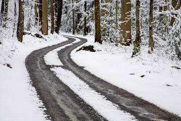 Winter, Snow, Road, Tracks, Greenbrier, Great Smoky Mountains National Park, TN