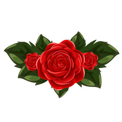red roses on transparant background
