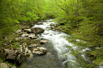 Little River, Tremont, Great Smoky Mountains National Park, TN