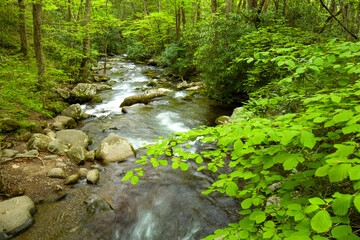 Roaring Fork,Great Smoky Mountains National Park, TN