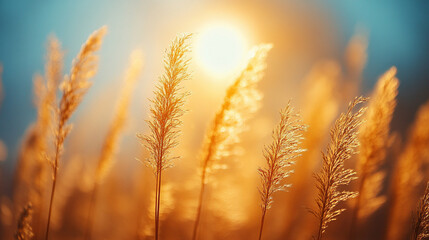 Obraz premium Close-up of tall golden brown grasses swaying in the wind, symbolizing resilience, freedom, and the passage of time. The soft movement evokes tranquility, nature's rhythm, and seasonal change. 