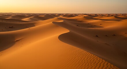 Golden Sand Dunes at Sunset in a Serene Desert Landscape