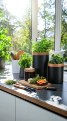 Kitchen composting solutions showcasing various bins and tools on a bright countertop in morning light