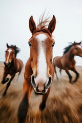 Obraz premium Kinetic Wilderness Collective Dynamic Horse Herd Motion for Eco-Conscious Branding and Inspirational Nature-Driven Marketing Design