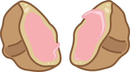 호두과자 일러스트 카페 디저트 small walnut-flavored cake