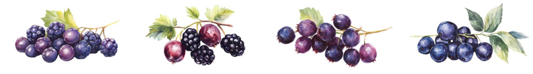 Vibrant Assortment of Juicy Purple and Blue Berries on Lush Vines   Delectable Grapes Blackberries and Blueberries Growing on Verdant Leaves and Stems