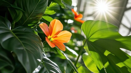 Botanical Wellness Revolution Community Garden Week Sustainable Living Showcase with Vibrant Tropical Flower and Solar-Infused Greenhouse Inspiration