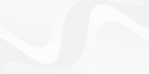 Simple white and gray background with gradient color and artistic dynamic line decoration background abstract simple