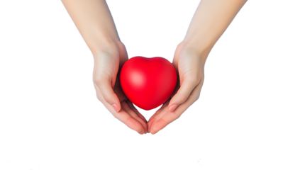 Hands holding a red heart isolated on white background.PNG