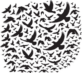 Fototapeta premium bird set silhouette vector, set of black silhouettes of animals vector illustration, bird vector illustration isolated on white and black background