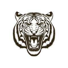 Vintage engraving woodcut tiger vector illustration art design