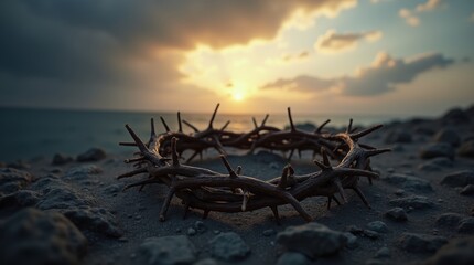 Thorns on rocky ground under a dramatic sky, perfect for Good Friday or intense spiritual imagery.