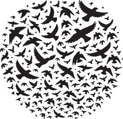Fototapeta premium bird set silhouette vector, set of black silhouettes of animals vector illustration, bird vector illustration isolated on white and black background