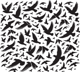 bird set silhouette vector, set of black silhouettes of animals vector illustration, bird vector illustration isolated on white and black background