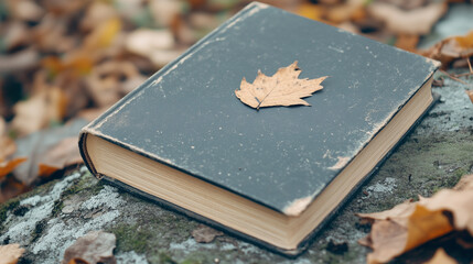 The Antique Book and Autumn Leaf: An antique, weathered book with a textured cover rests on a weathered stone in the forest. with a delicate autumn leaf.