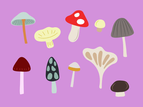 Variety of Mushrooms Vector Illustration Set. Fungi. Colorful.