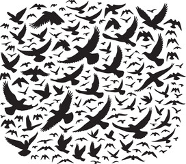Fototapeta premium bird set silhouette vector, set of black silhouettes of animals vector illustration, bird vector illustration isolated on white and black background