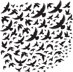 bird set silhouette vector, set of black silhouettes of animals vector illustration, bird vector illustration isolated on white and black background